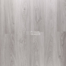 Ламинат Clix Floor Plus Дуб Серый Серебристый фото 1 | FLOORDEALER